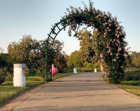 Food and entertainment hotspots that shape local living